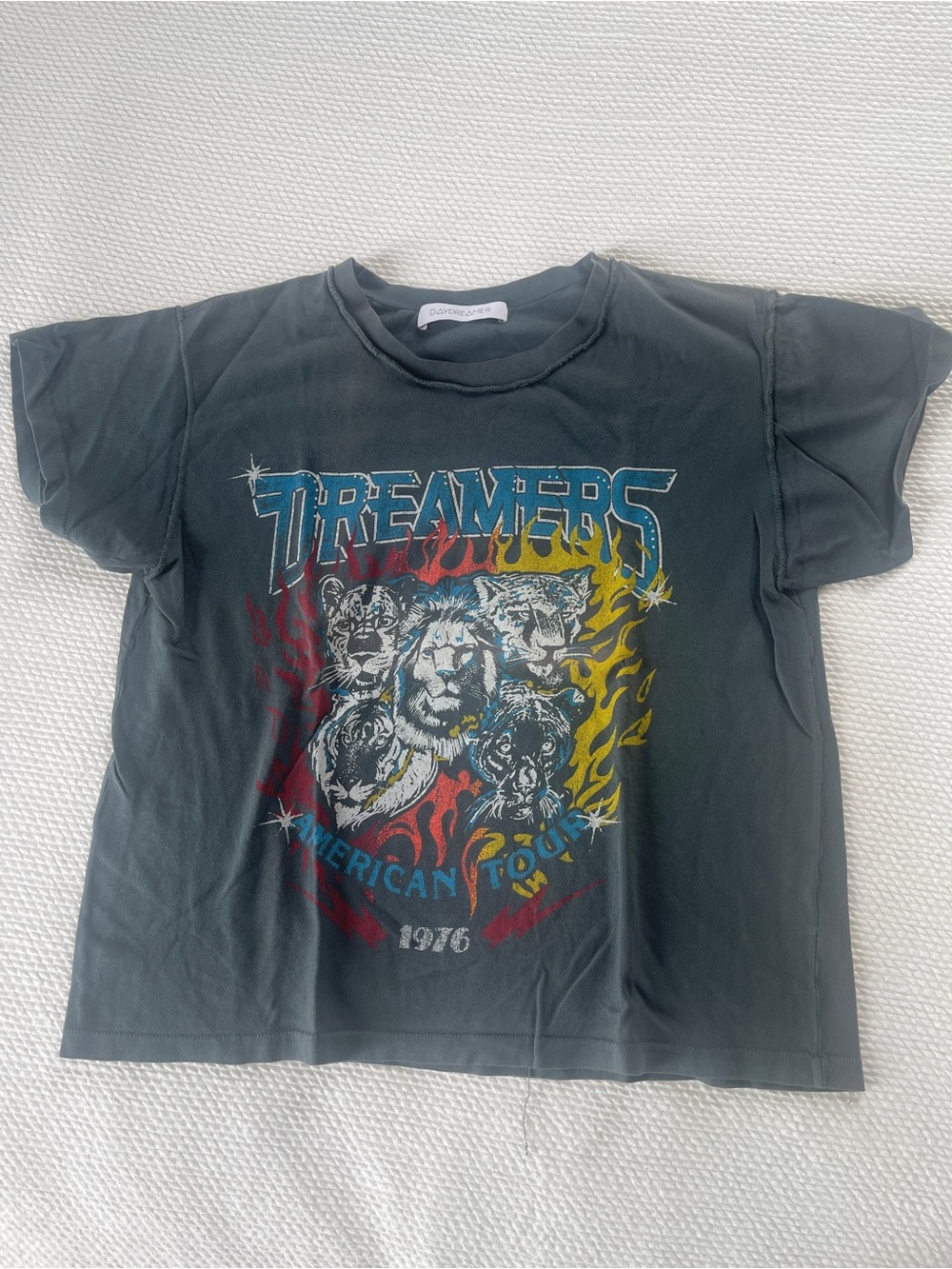 Daydreamer Black 'Dreamers' Graphic Tee with Multicolor Lion Design
